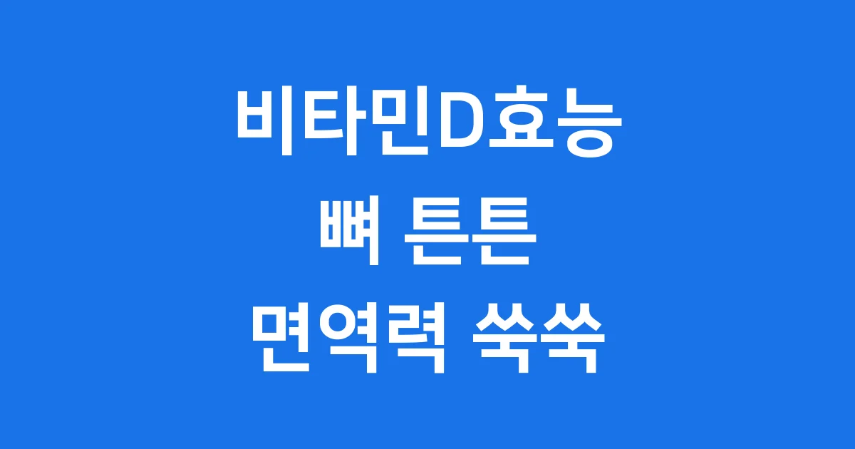 비타민D효능 완벽 가이드