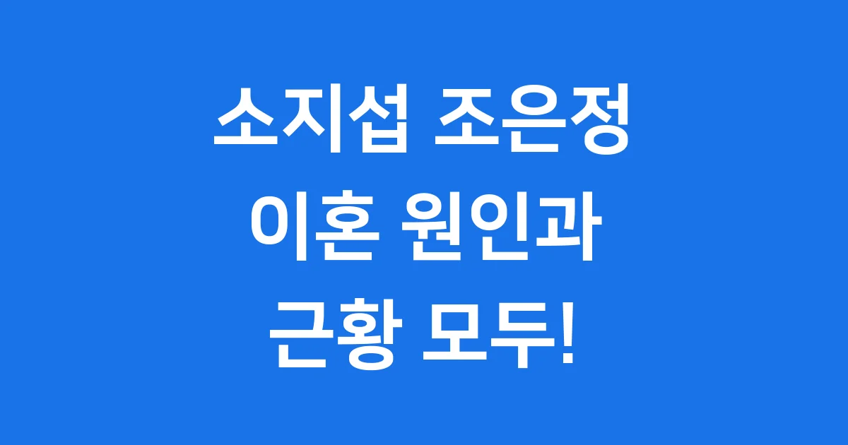 소지섭 조은정 이혼 원인 근황 모든 것