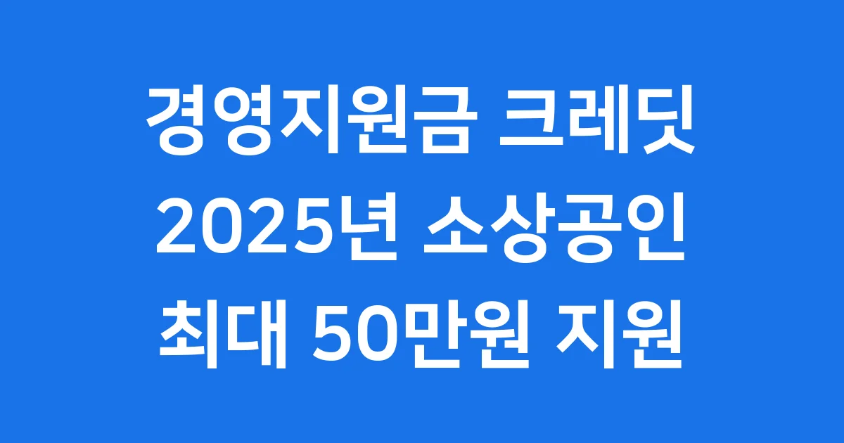 경영지원금 크레딧 2025년 소상공인 신청부터 활용까지