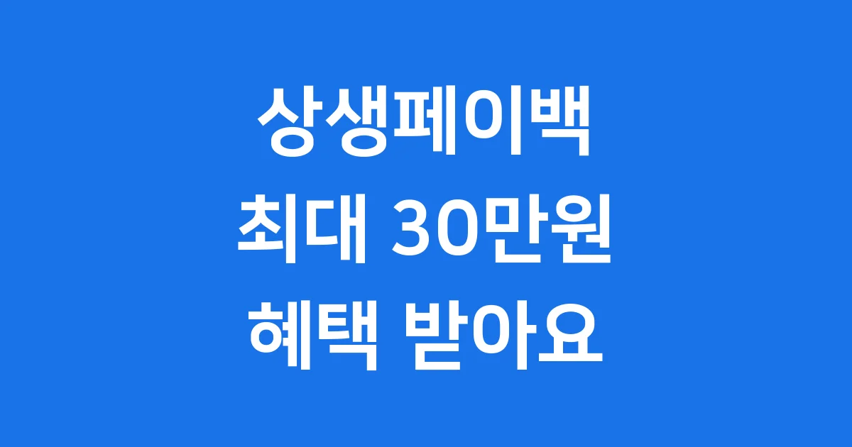 상생페이백 2025년 신청방법 자격조건 상생페이백 2025년 신청방법 자격조건